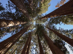 9 Stunning Day Trips from San Francisco