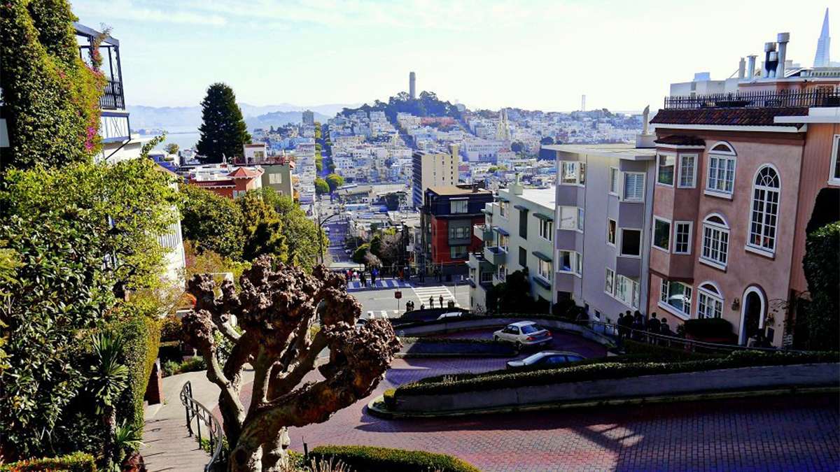 Houses lining the street and a city view at Telegraph Hill - San Francisco, California, USA