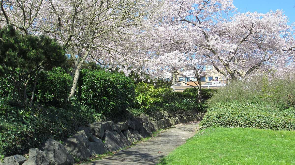 Walking path in Madison Park Seattle, Washington, USA