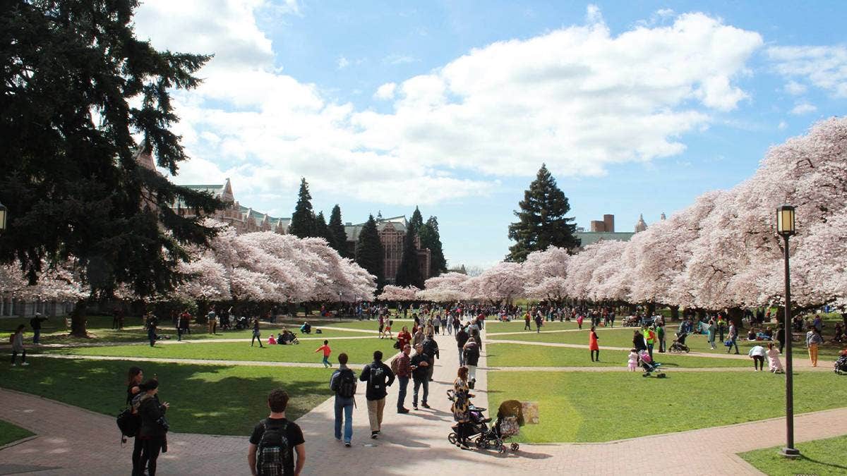Seattle Outdoor Activities: 9 Exciting Things to Do