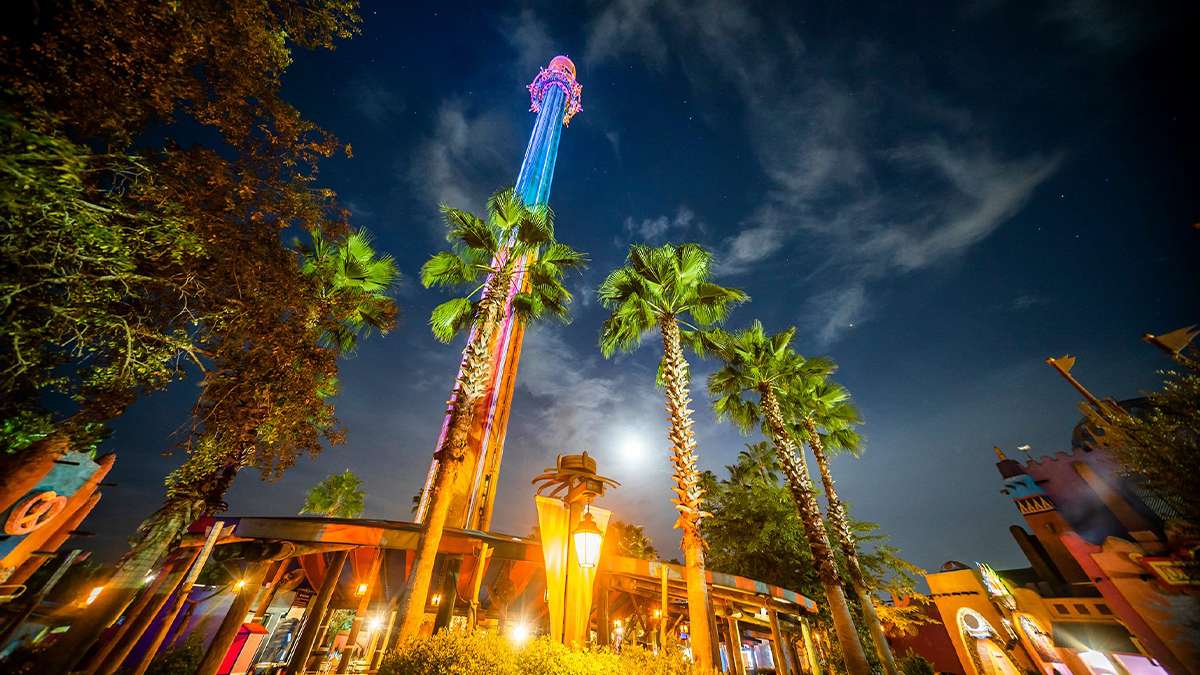 Exterior view of Busch Gardens entrance at night in Tampa, Florida, USA