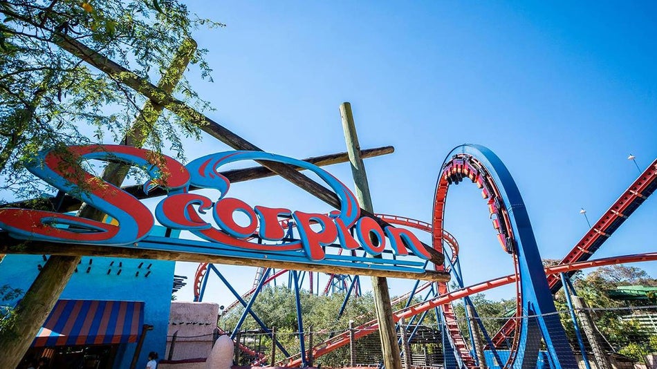 close up of the scorpion roller coaster ride at Busch Gardens Tampa, Florida, USA