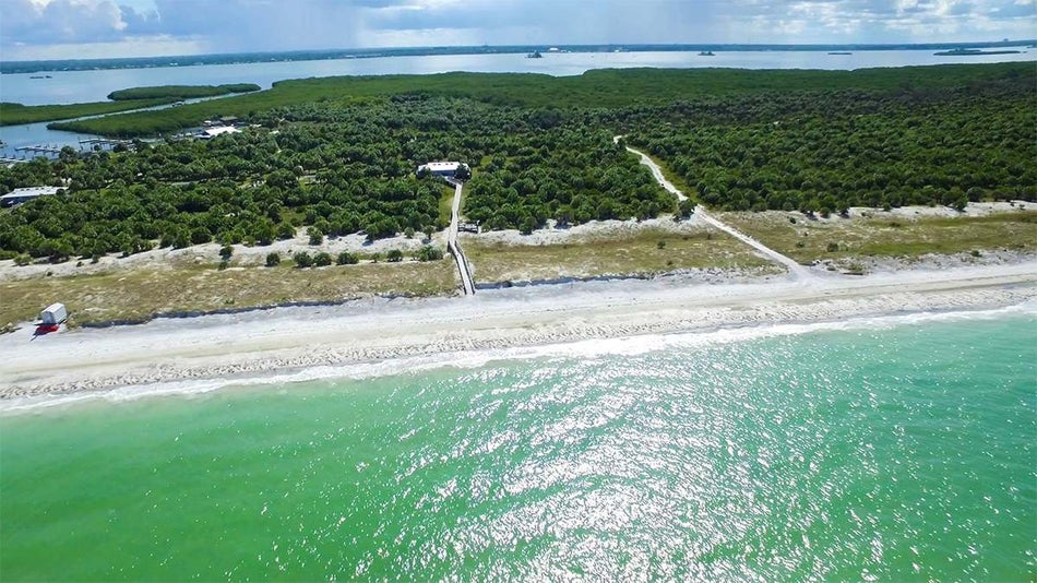 Aerial view of Caladesi Island State Park, lots of green trees and a green tinted ocean near Tampa, Florida, USA
