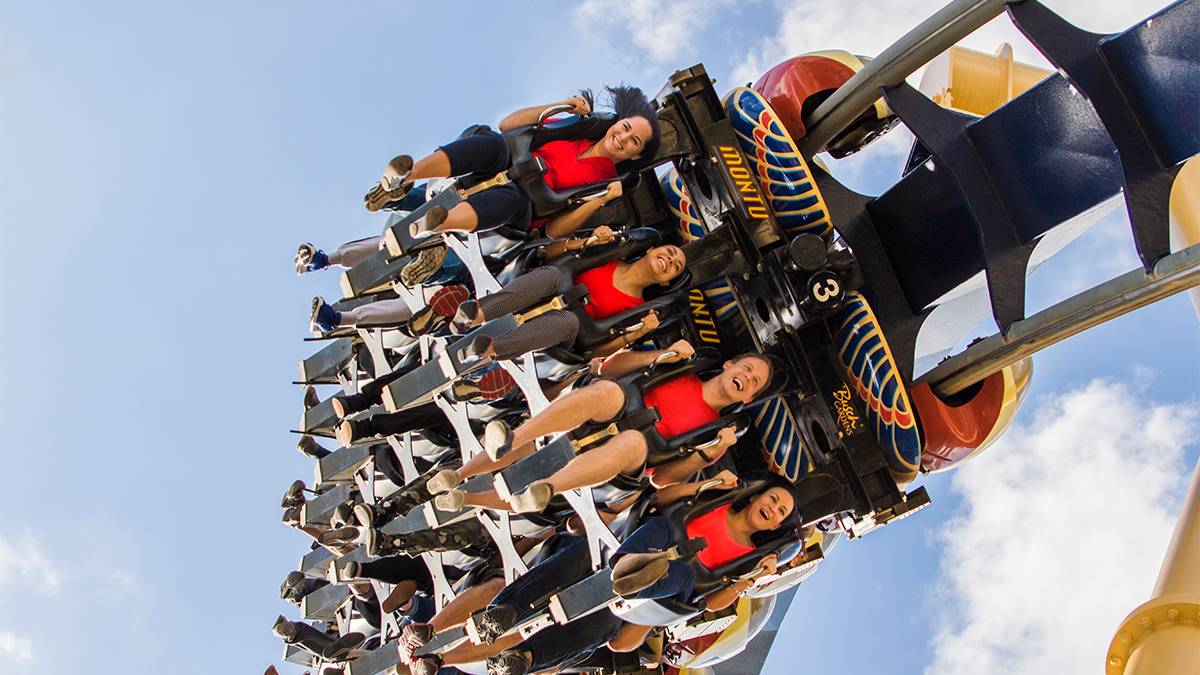 aerial view of guests riding Montu roller coaster at Busch Gardens Tampa, Florida, USA