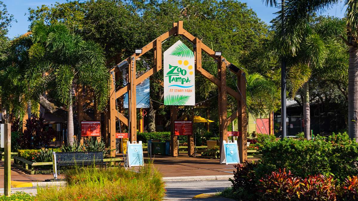 Wide shot of the entrance to ZooTamp, a wooden arch with a vertical banner hanging in the middle surrounded by trees on a sunny day in Tampa, Florida, USA