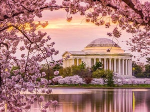 Free Things to Do in Washington DC - 17 Must-Try Activities