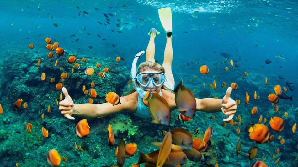 Woman Snorkeling with Fish