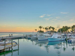 Key West Trolley Tour: 2023 Coupons and Reviews
