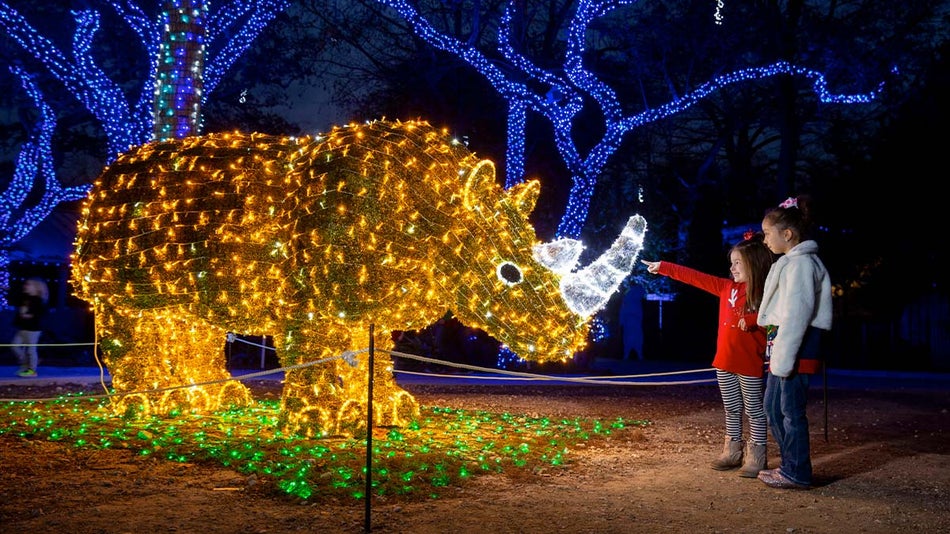 children pointing at rhino bush in christmas lights at san antonio zoo