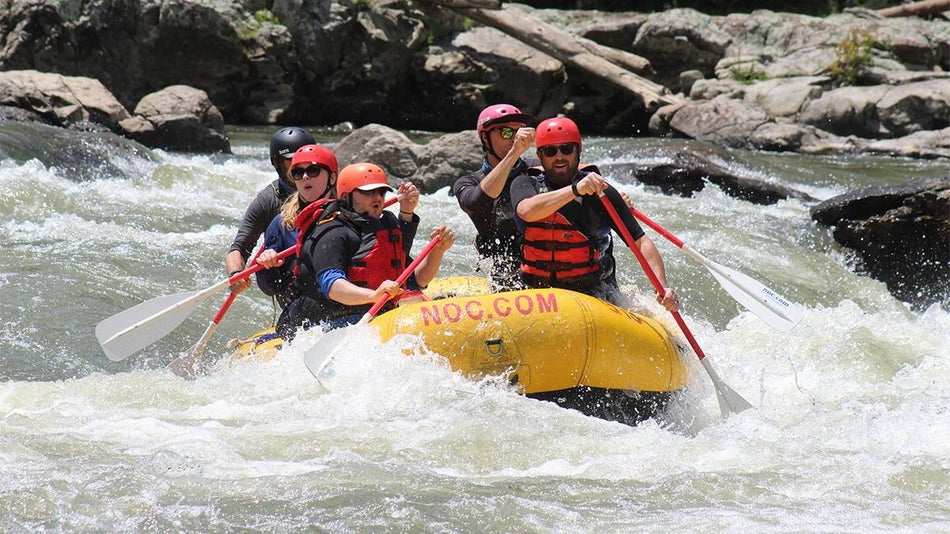 Two couples and a guide rafting on French Broad River on a sunny day in Asheville, North Carolina, USA