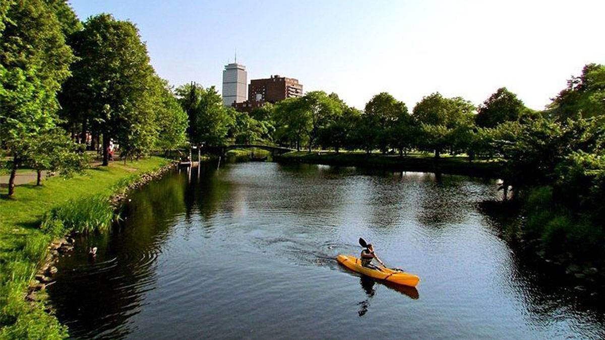 kayaker at Charles River Esplanade on a sunny day in Boston, Massachusetts, USA