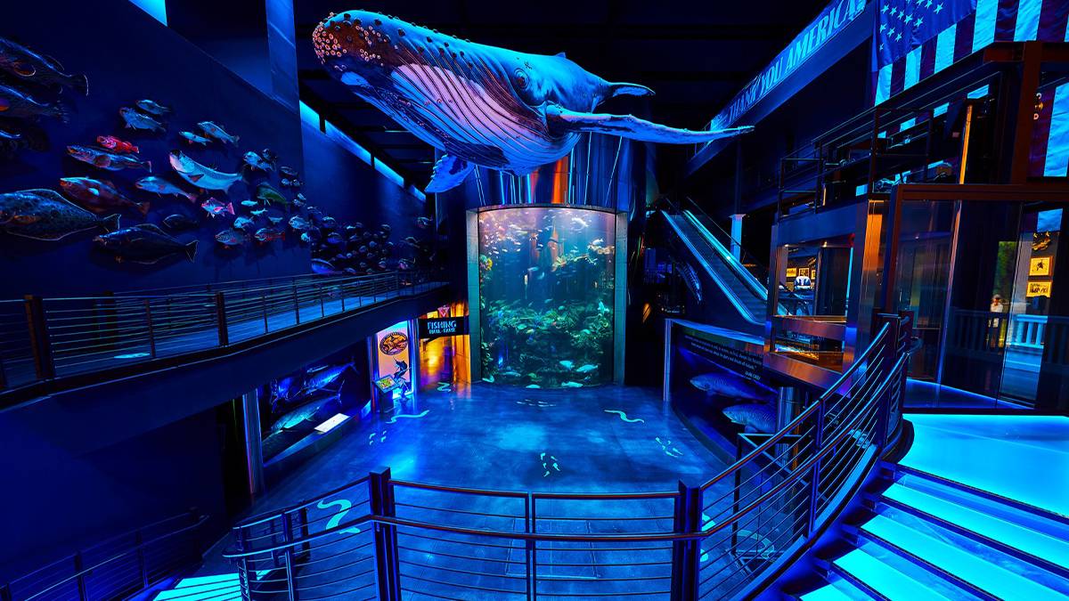 A large rooms willed with fish models on the wall and a giant whale handing from the ceiling with a floor to ceiling circular tank full of different sea life and lit with blue light at the Wonders of Wildlife Aquarium Near Branson, Missouri, USA
