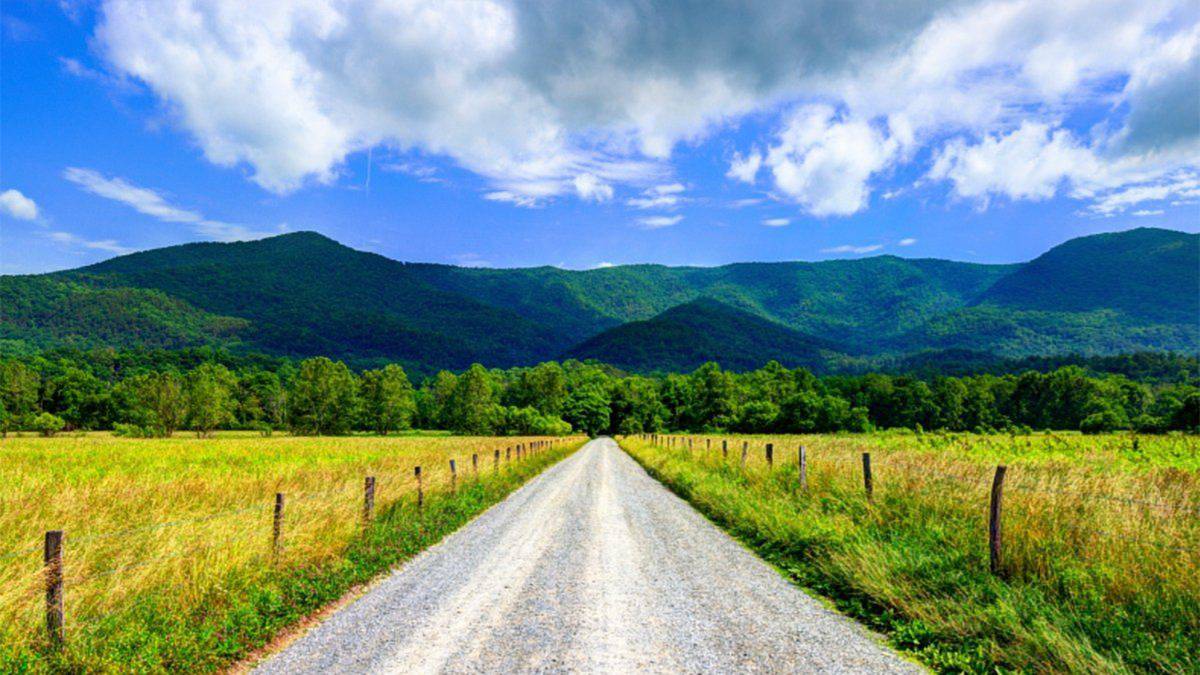 road to cades cove in the great smoky mountains national park