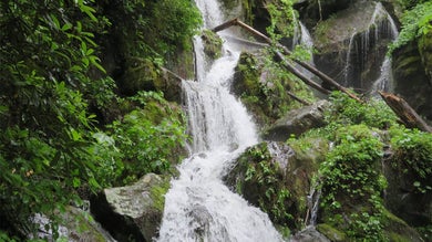 A close up of a waterfall surrounded by lush greenery along the Roaring Fork Motor Trail in Gatlinburg, Tennessee, USA