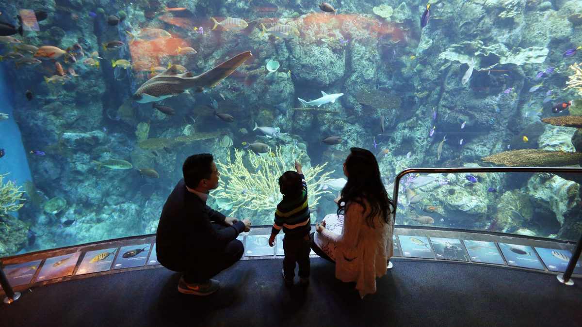 family in front of aquarium at aquarium of the pacific