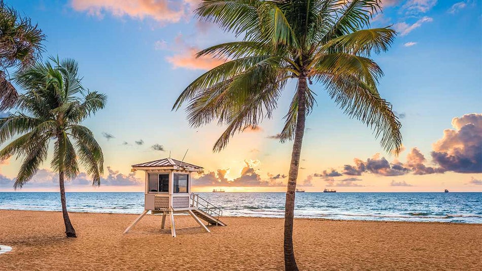 View of Fort Lauderdale Beach at sunset with a life guard stand and two palm trees near Miami, Florida, USA