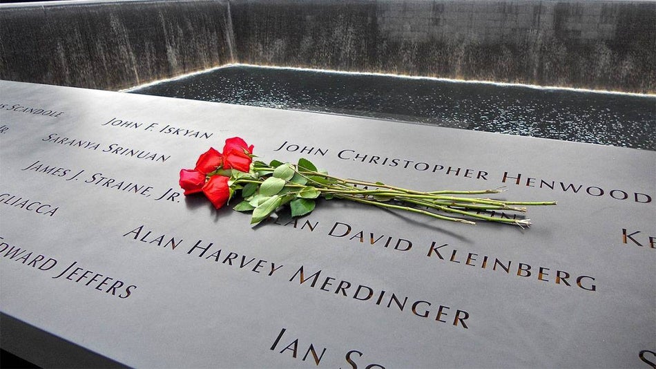 close up of red roses on 9/11 memorial pool