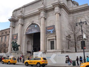 American Museum of Natural History New York: 2023 Insider's Guide