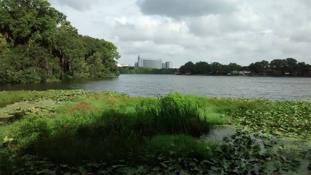 View from the Lake Rowena Overlook at Harry P Leu Gardens on a cloudy day in Orlando, Florida, USA