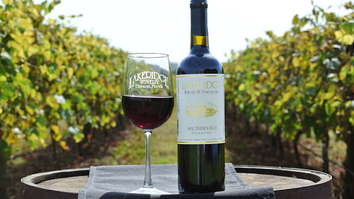 Close up of a glass of red wine and a bottle next to it on a barrel in the vineyard in the background at Lakeridge Winery & Vineyards in Orlando, Florida, USA