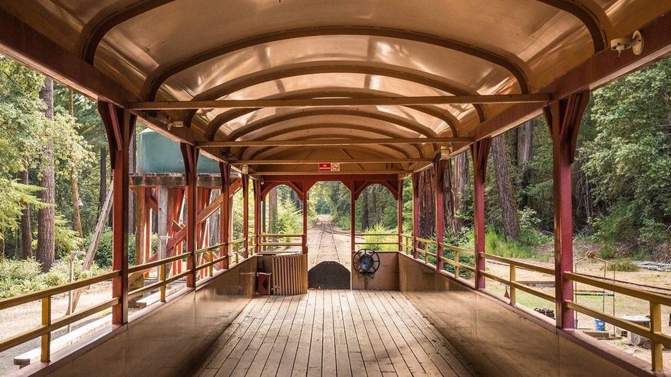 interior shot of outdoor train car surrounded by redwood forest