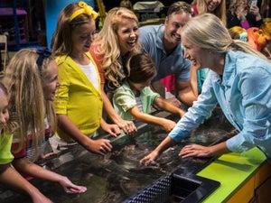 6 Pigeon Forge Museums Every Visitor Should See