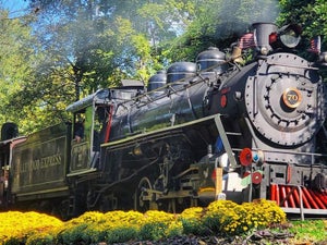 The 5 Best Dollywood Rides for Kids