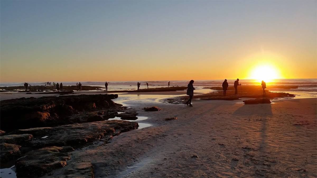 Wide shot of people participating in the Sunday tide pool walk at Cardiff State Beach in San Diego, California, USA