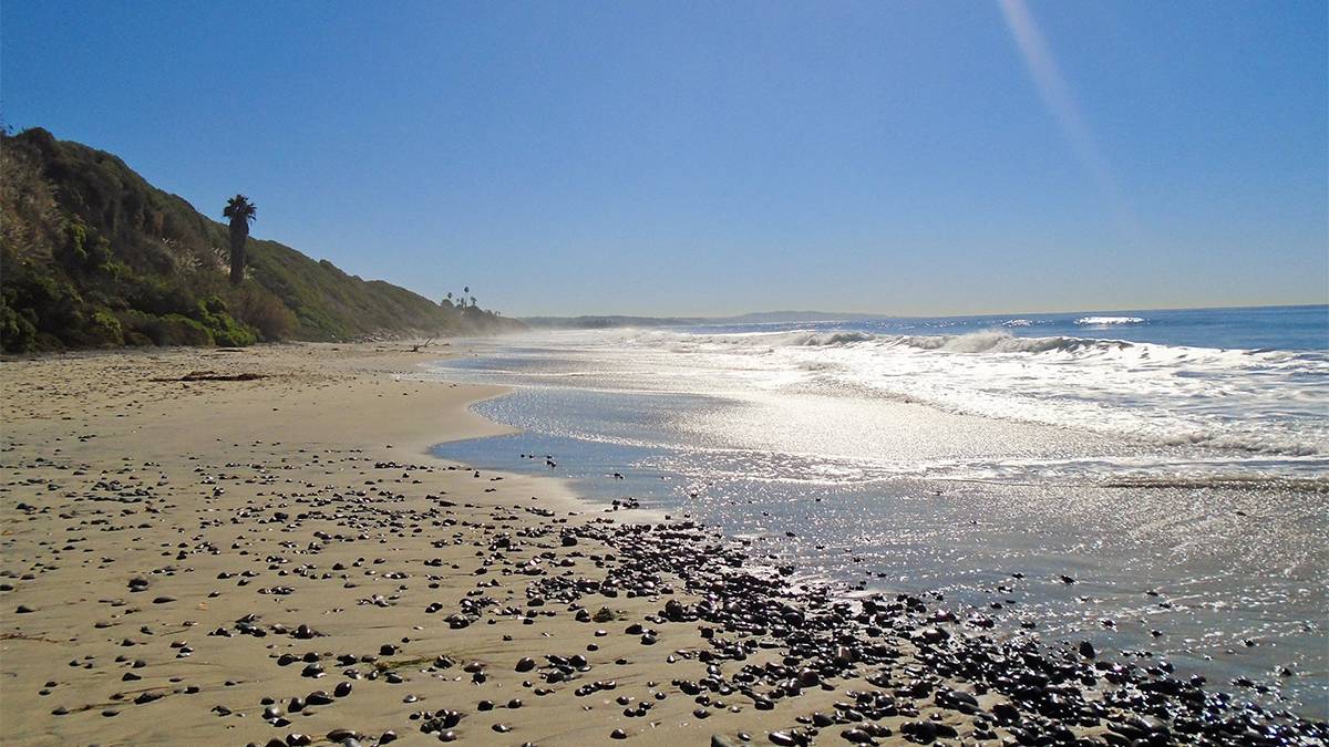 Wide shot of Swami State Beach covered in shells on a sunny day in San Diego, California, USA