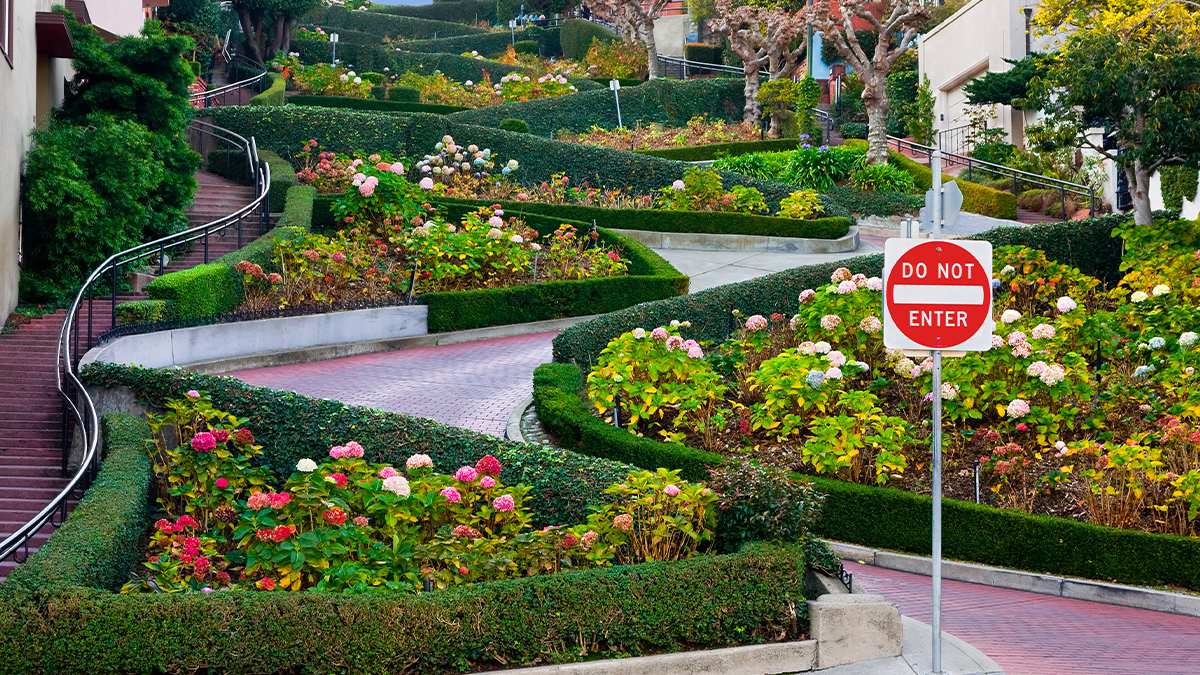 crooked streets of Lombard with bushes and flowers in San Francisco, California, USA