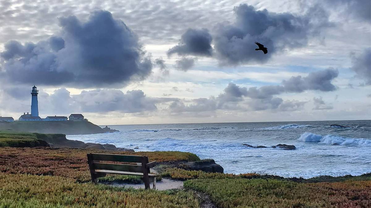 5 MustSee Tide Pools in San Francisco Tripster Travel Guide