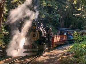 Skunk Train Coupon - 2023 Guide to Discounts & Reviews