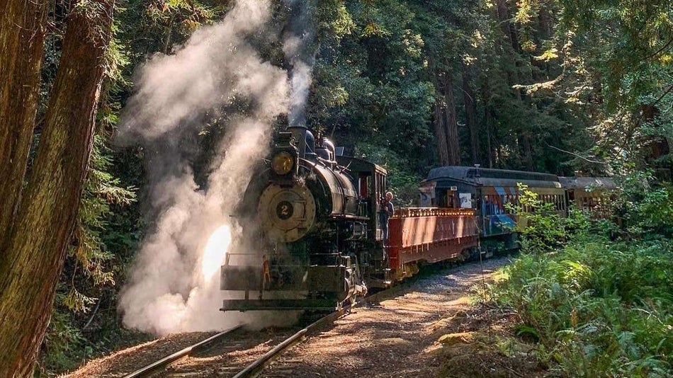 front of skunk train with steam blowing traveling through a redwood forest