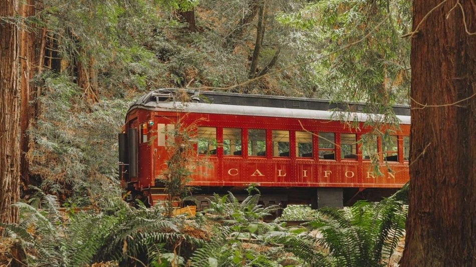 back of red skunk train rail car in the middle of a redwood forest