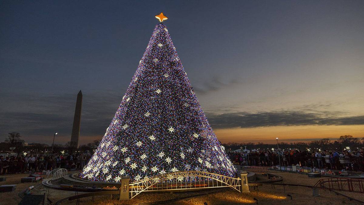 outdoor view of National Christmas Tree with the Washington Monument in background in Washington, D.C., USA