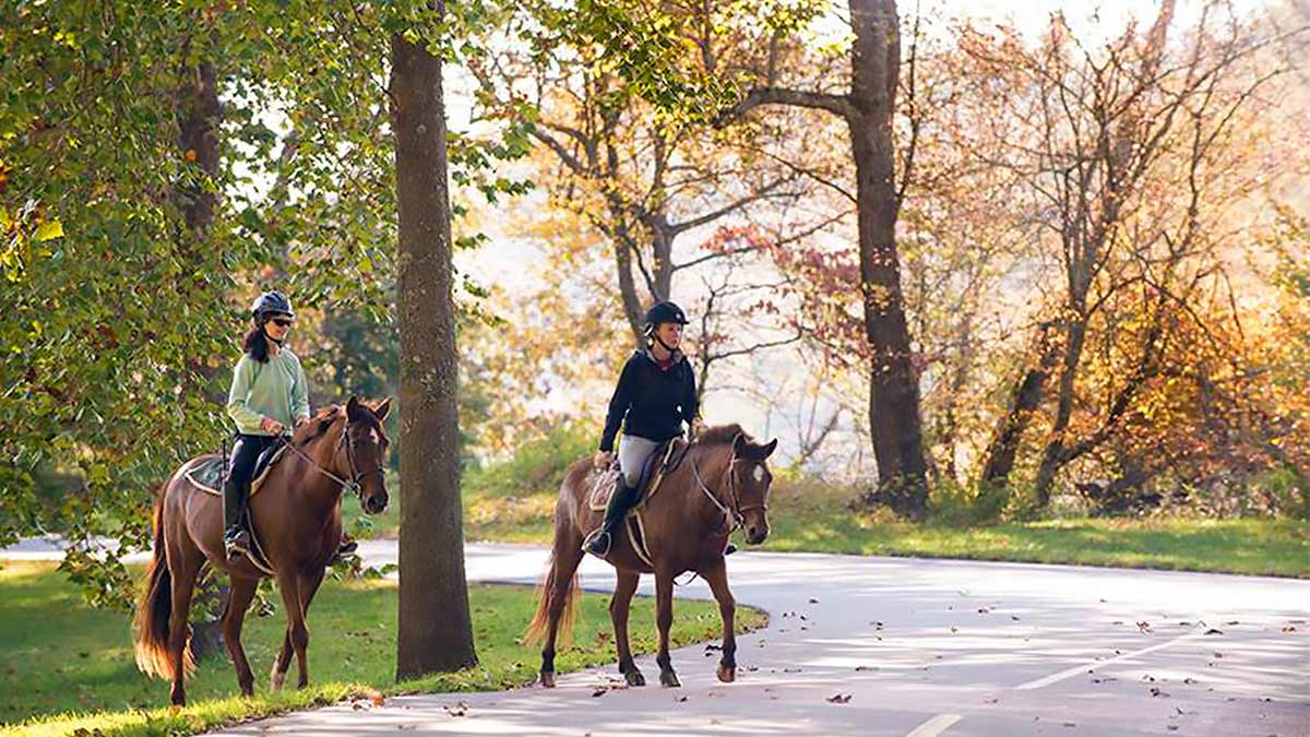 people riding horses through the fall foliage