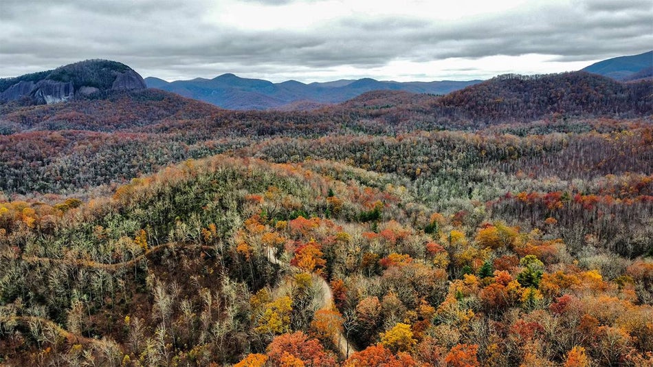 Photo overlooking miles of tress in fall in Pisgah National Forest in Asheville, North Carolina, USA