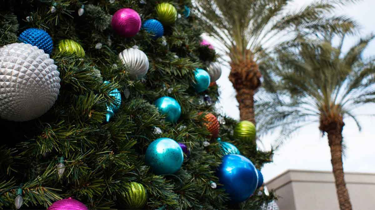close up of christmas tree with palm trees in background