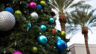 close up of christmas tree with palm trees in background