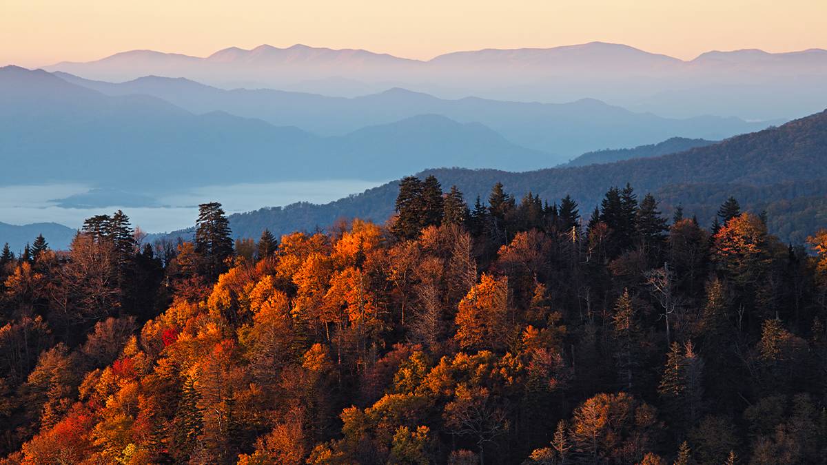 view of fall foliage in the smoky mountains