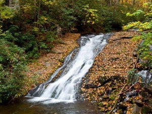 Gatlinburg Hiking Guide: Grotto Falls Trail