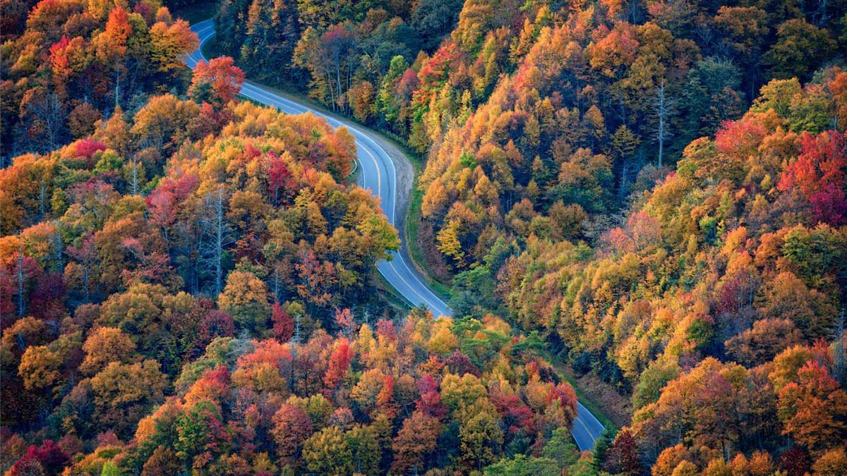 road through fall autumn foliage trees in The Great Smoky Mountains in Gatlinburg, Tennessee, USA