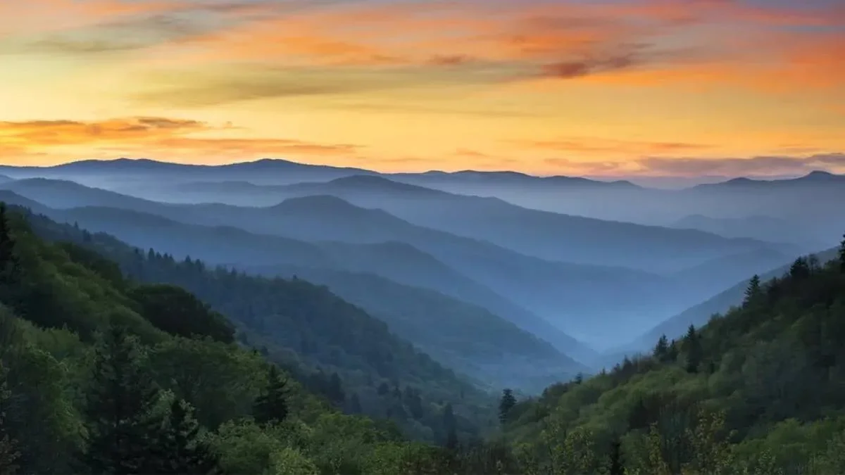Wide View of the Sunset over the forest at The Great Smoky Mountains - Gatlinburg, Tennessee, USA