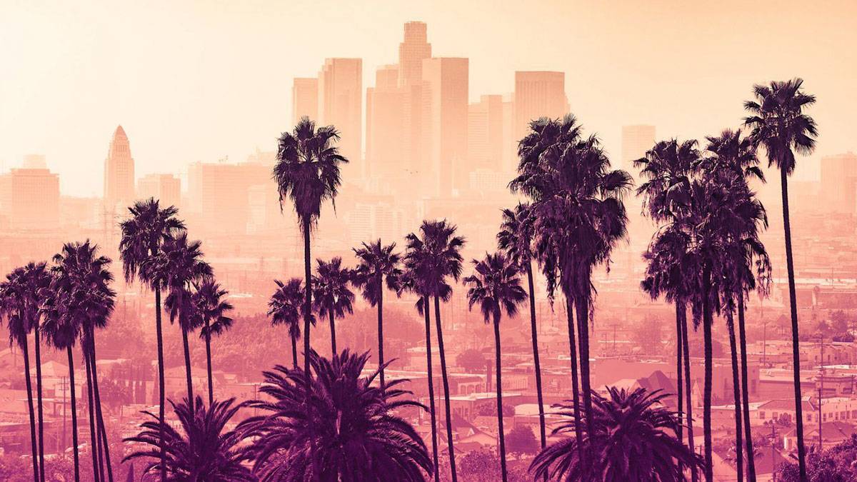 hazy sky in los angeles with palm trees