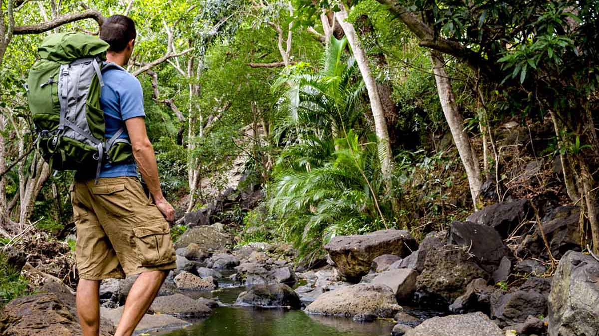 man in blue shirt and shorts standing alongside water in a forest while hiking