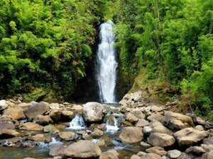 Waterfall Hikes on Maui: 11 Most Stunning Falls on the Island