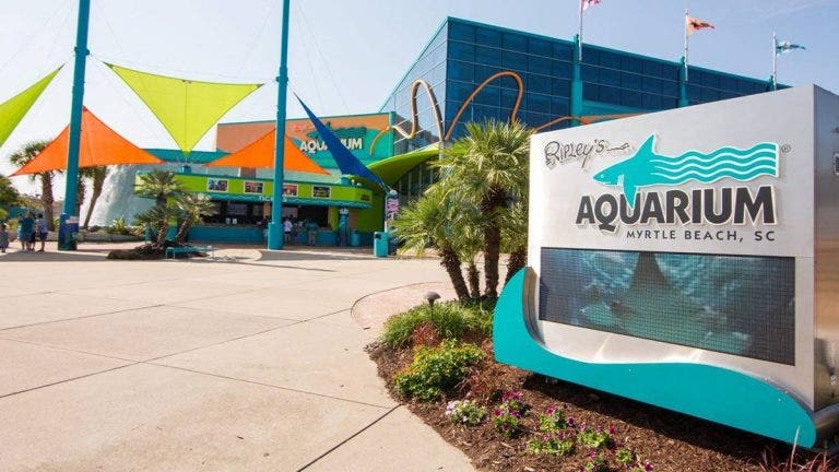 Ripley's Aquarium Myrtle Beach Coupons: Save Up to 48% Off