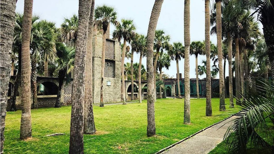 palm trees in front of Atalaya Castle in Myrtle Beach, South Carolina, USA