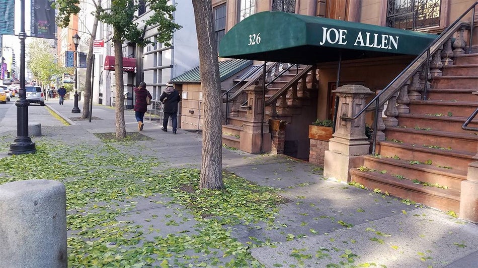 exterior view of the Joe Allen restaurant awning in Manhattan in NYC, New York, USA