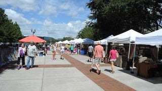 Wide shot of people shopping at the Orlando Farmer's Market at Lake Eola Park on a sunny day in Orlando, Florida, USA